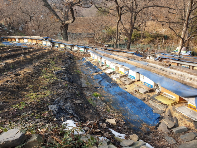 [크기변환]KakaoTalk_20230108_210340212_02.jpg